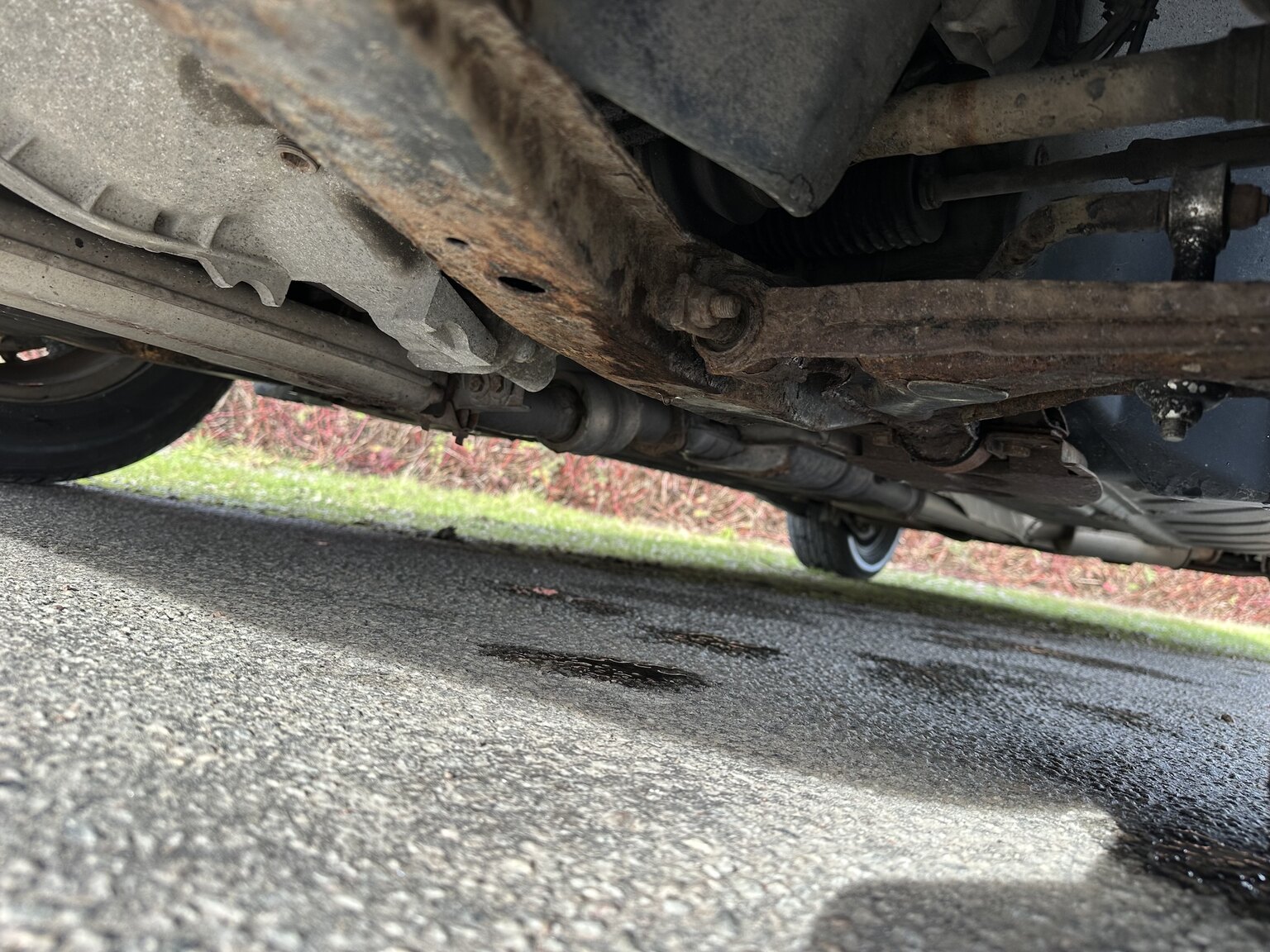 Image of 1994 Alfa Romeo 164 mechanics