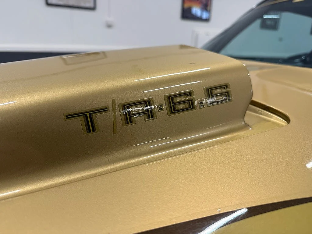 Bild von 1979 Pontiac Firebird (19)