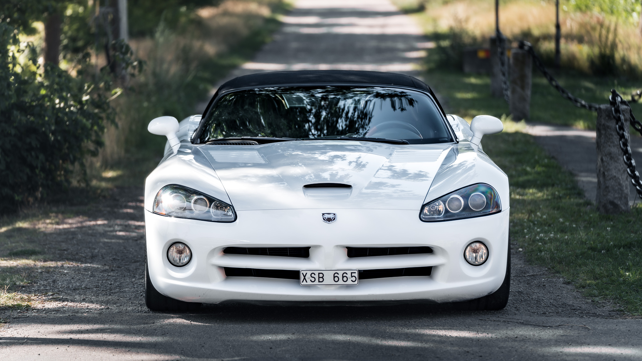 Exteriörbild på 2004 Dodge Viper Mamba Edition