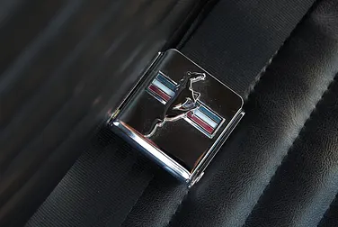 #<Image:0x00007fbbec681f50>