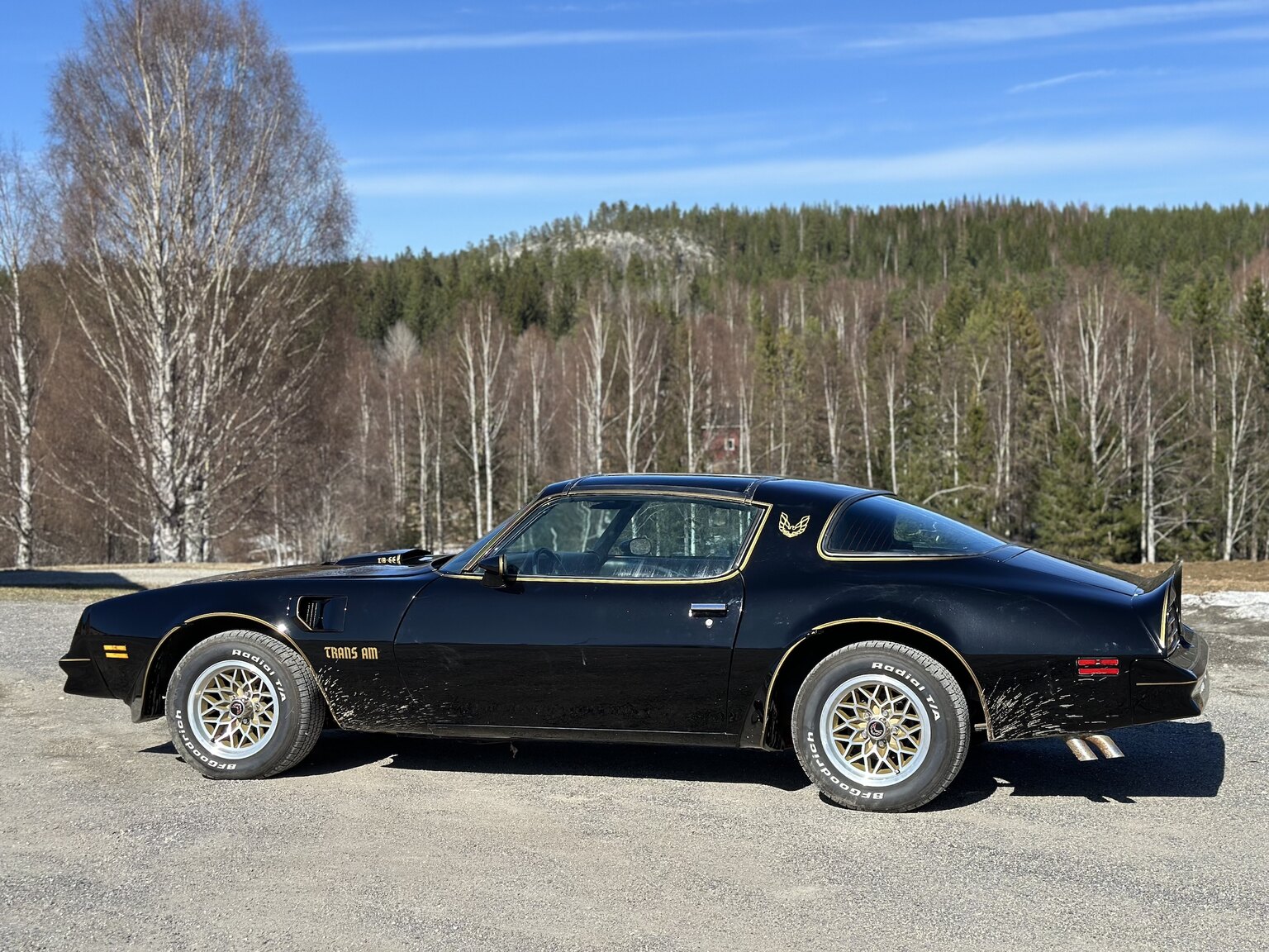 Exteriörbild på 1978 Pontiac Trans Am Bandit 400