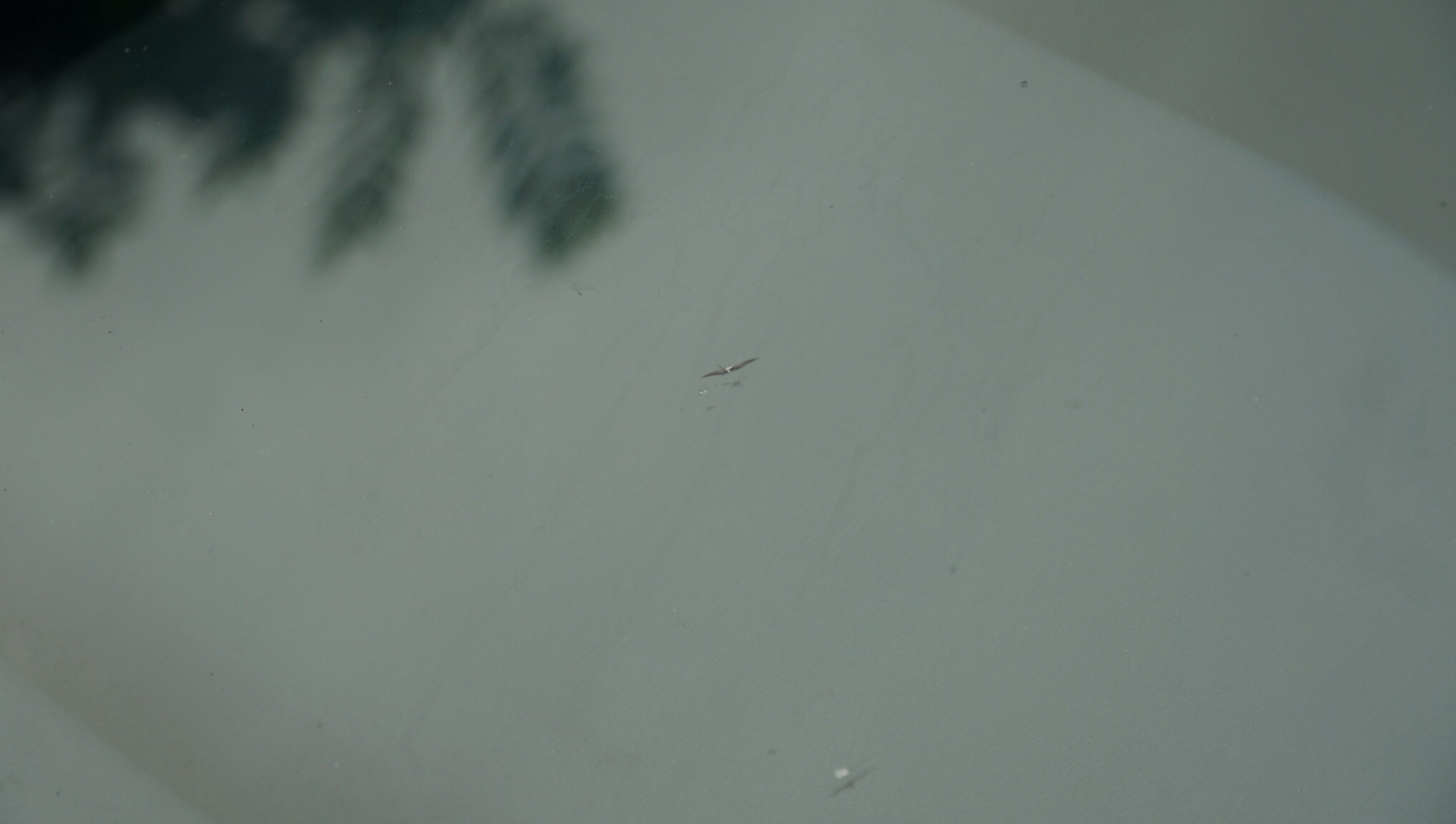 Exterior image of 1983 Porsche 928S (82)