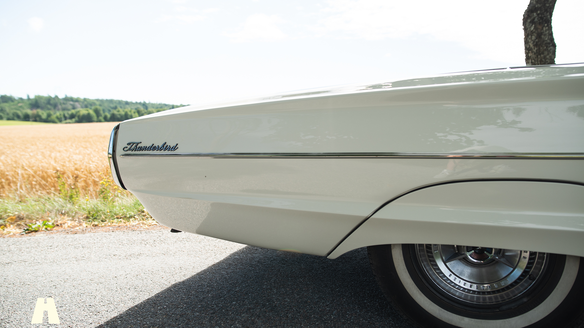 Aussenfoto 1965 Ford Thunderbird (25)