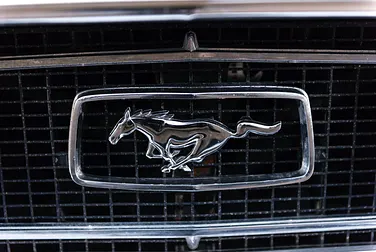 #<Image:0x00007f7023697090>