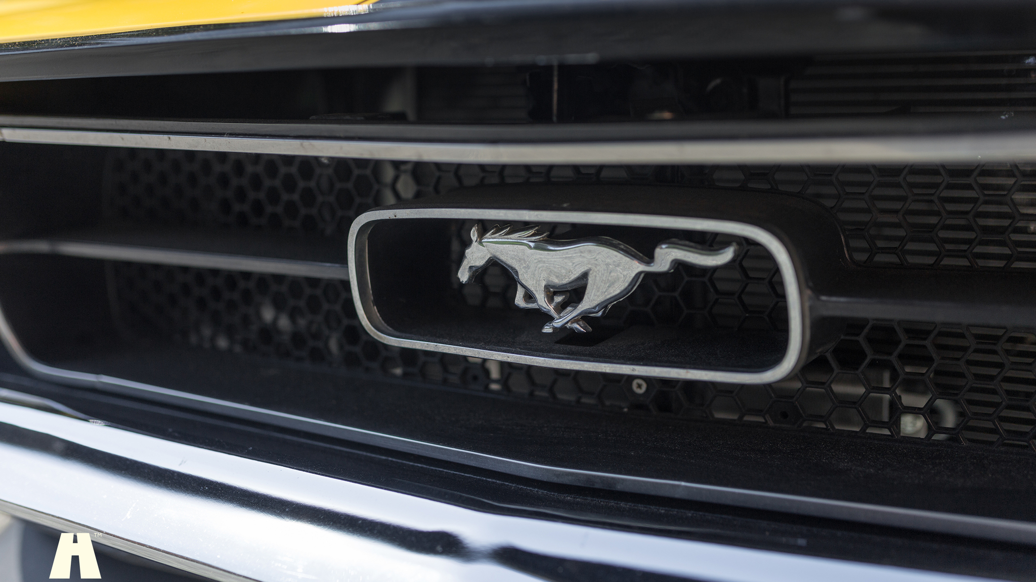 Aussenfoto 1971 Ford Mustang 429 Cabriolet (38)