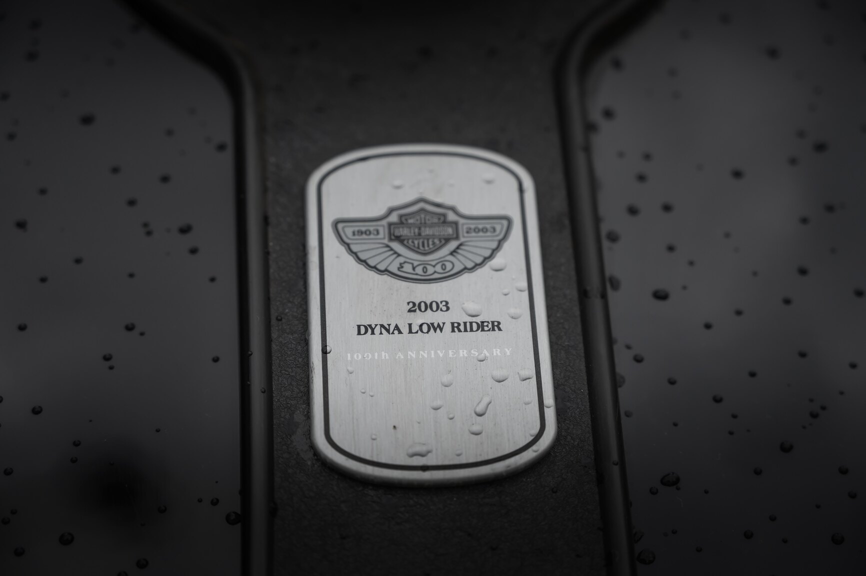 Exteriörbild på 2003 Harley-Davidson FXDL 100th Anniversary