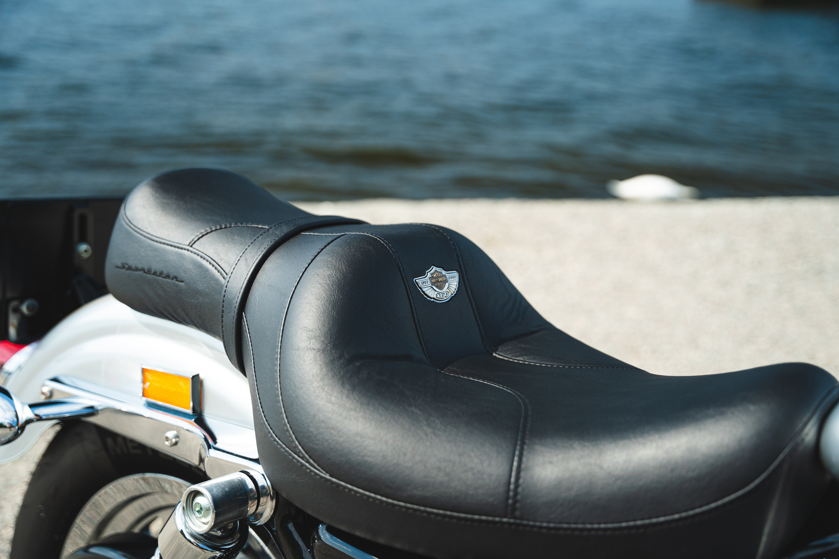 Exteriörbild på 2003 Harley Davidson Sportster 1200 100th Anniversary (27)