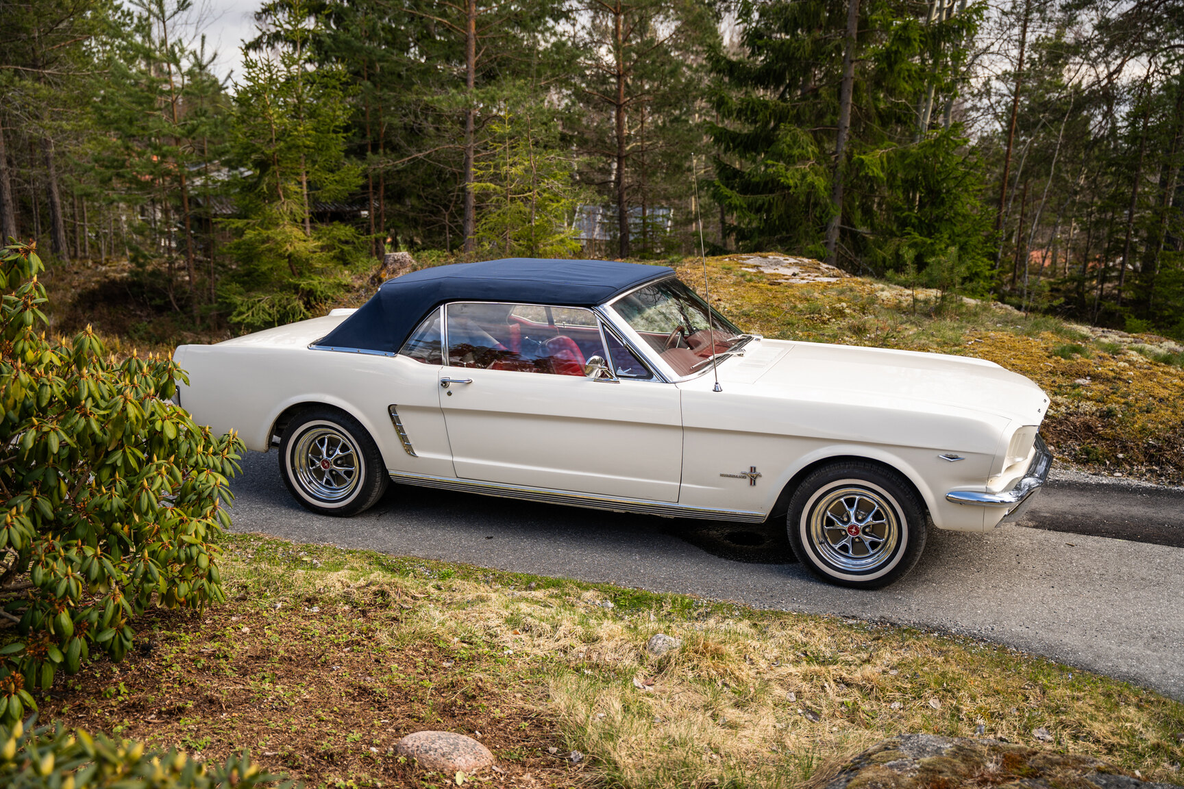 Aussenfoto 1965 Ford Mustang Cabriolet (4)