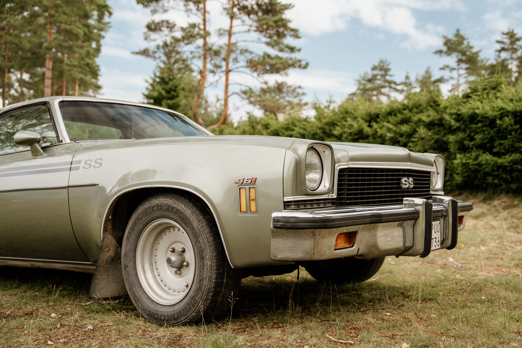 Exterior image of 1973 Chevrolet El Camino SS 454 (33)