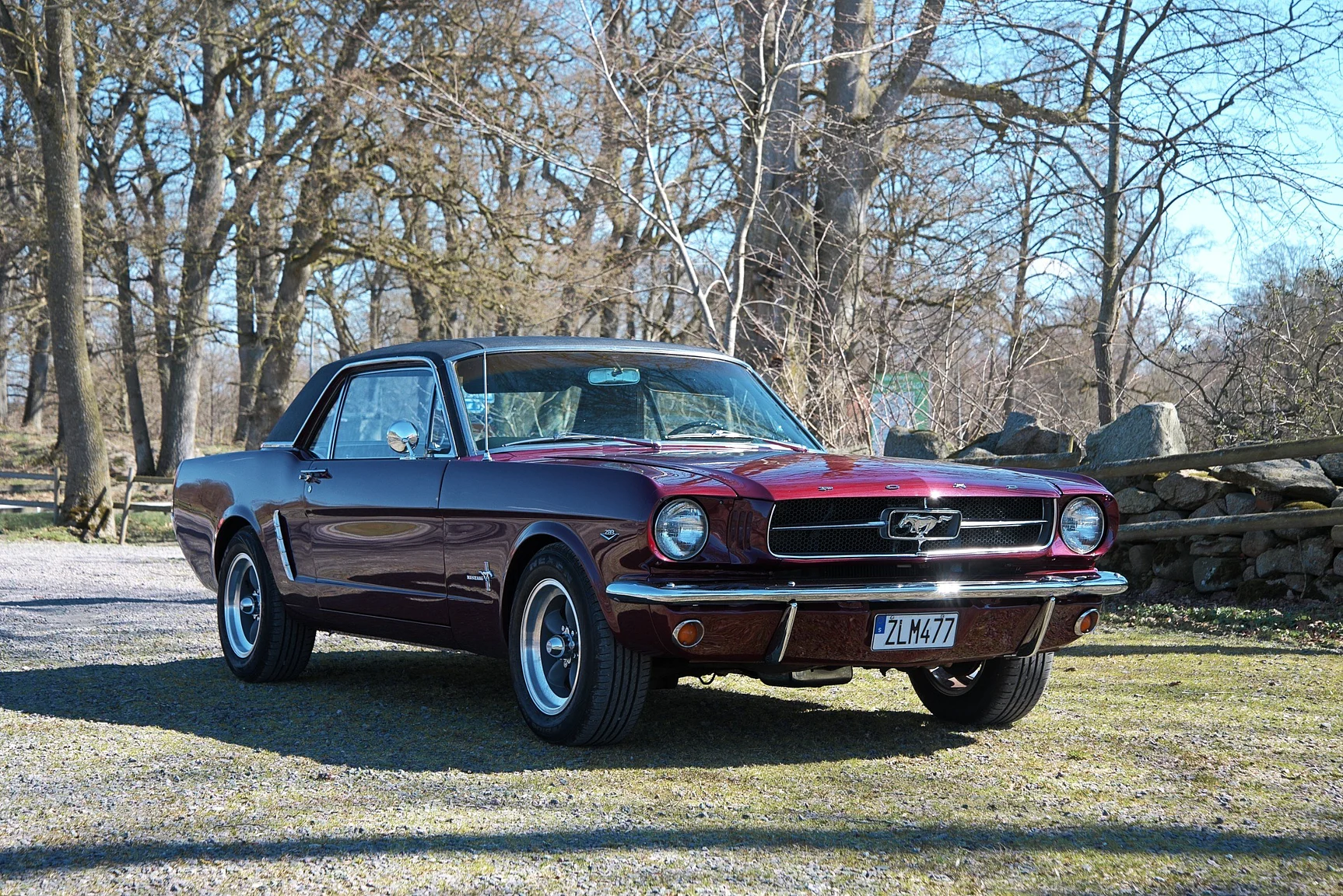 Aussenfoto 1965 Ford Mustang HT 289cui (11)