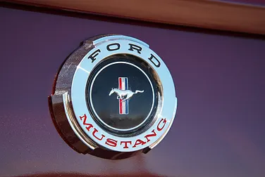 #<Image:0x00007fbc186b0f18>