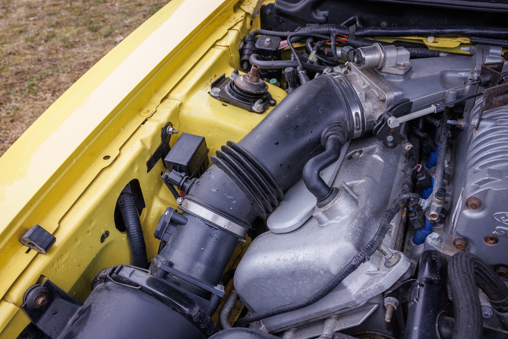 Image of 2003 Ford Mustang SVT Cobra mechanics