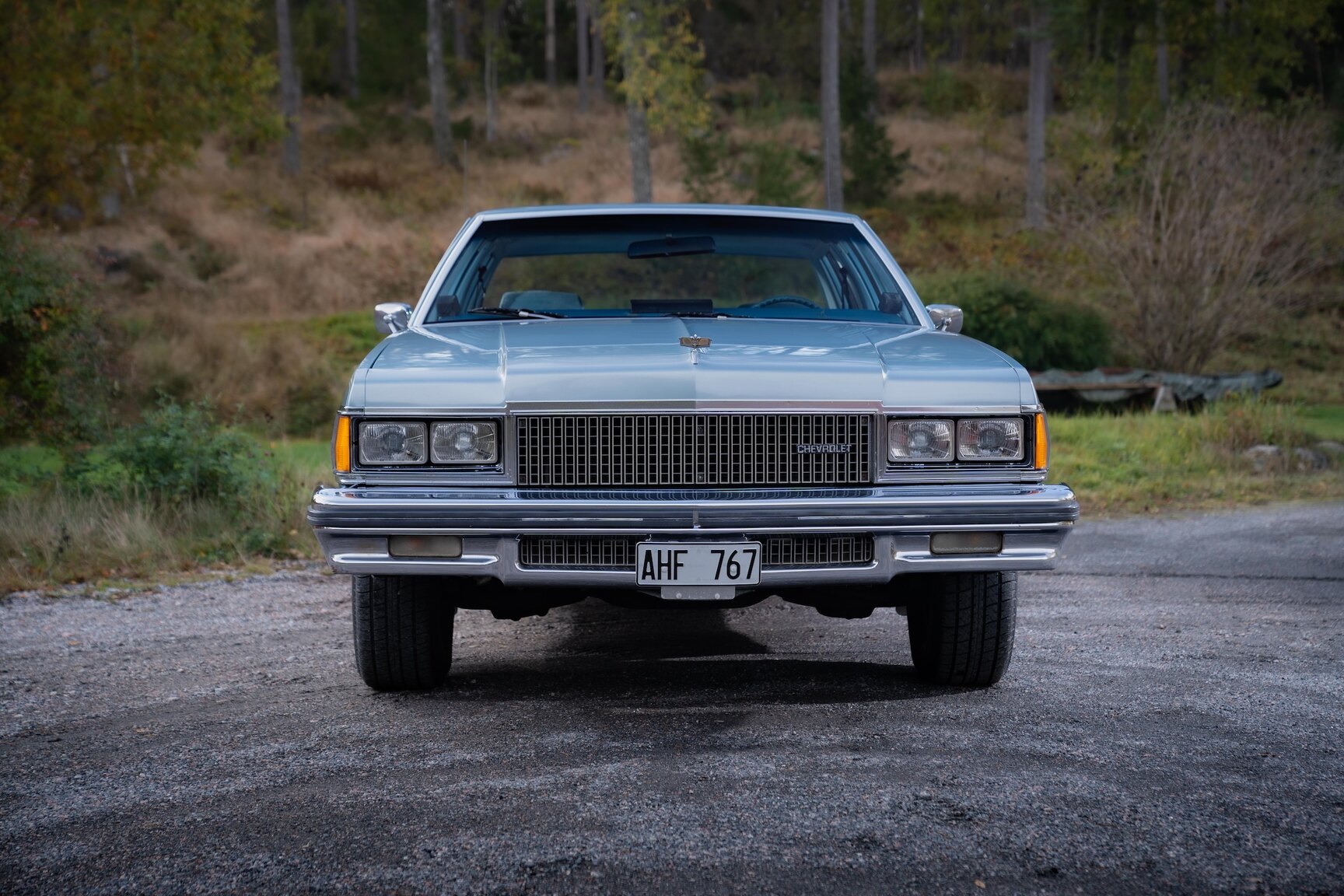 Exterior image of 1977 Chevrolet Caprice Classic