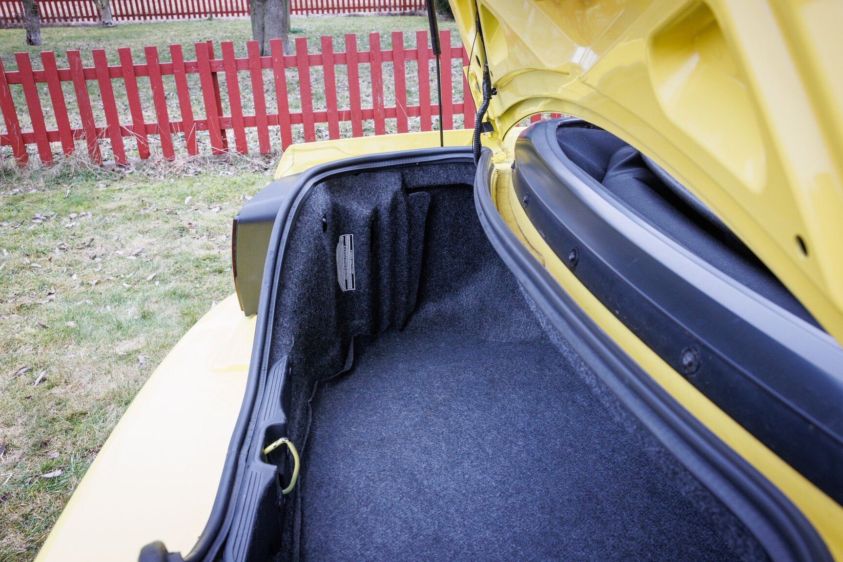 Interior image of 2003 Ford Mustang SVT Cobra