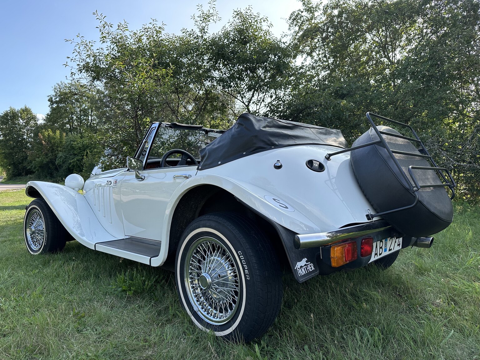 Exterior image of 1988 Panther Kallista