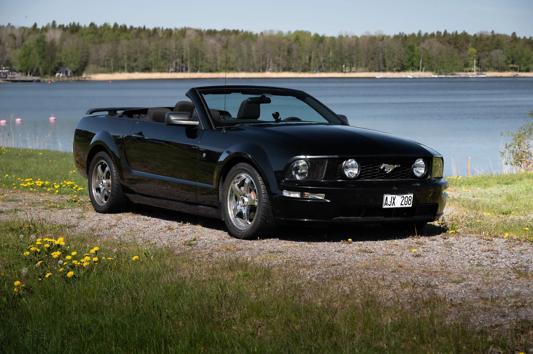 Exteriörbild på 2006 Ford Mustang Convertible (14)