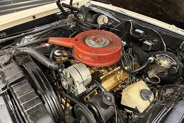 #<Image:0x00007fb7705035c8>