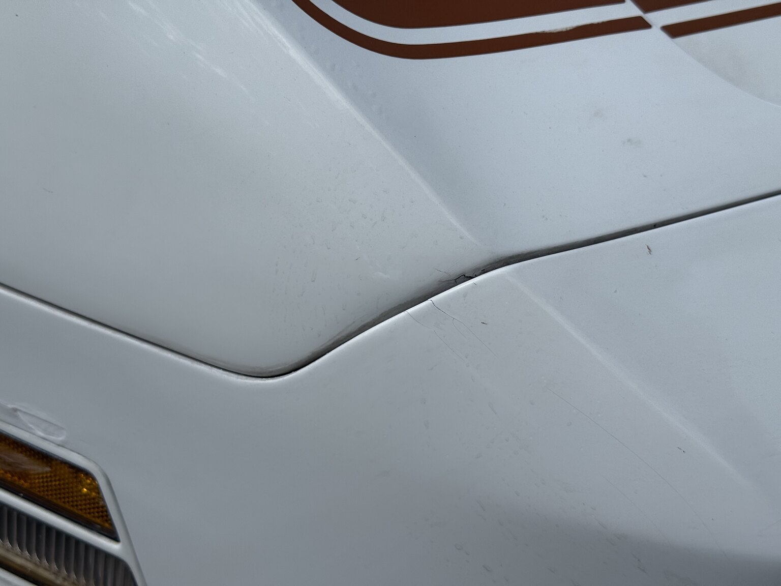 Exterior image of 1981 Chevrolet Corvette
