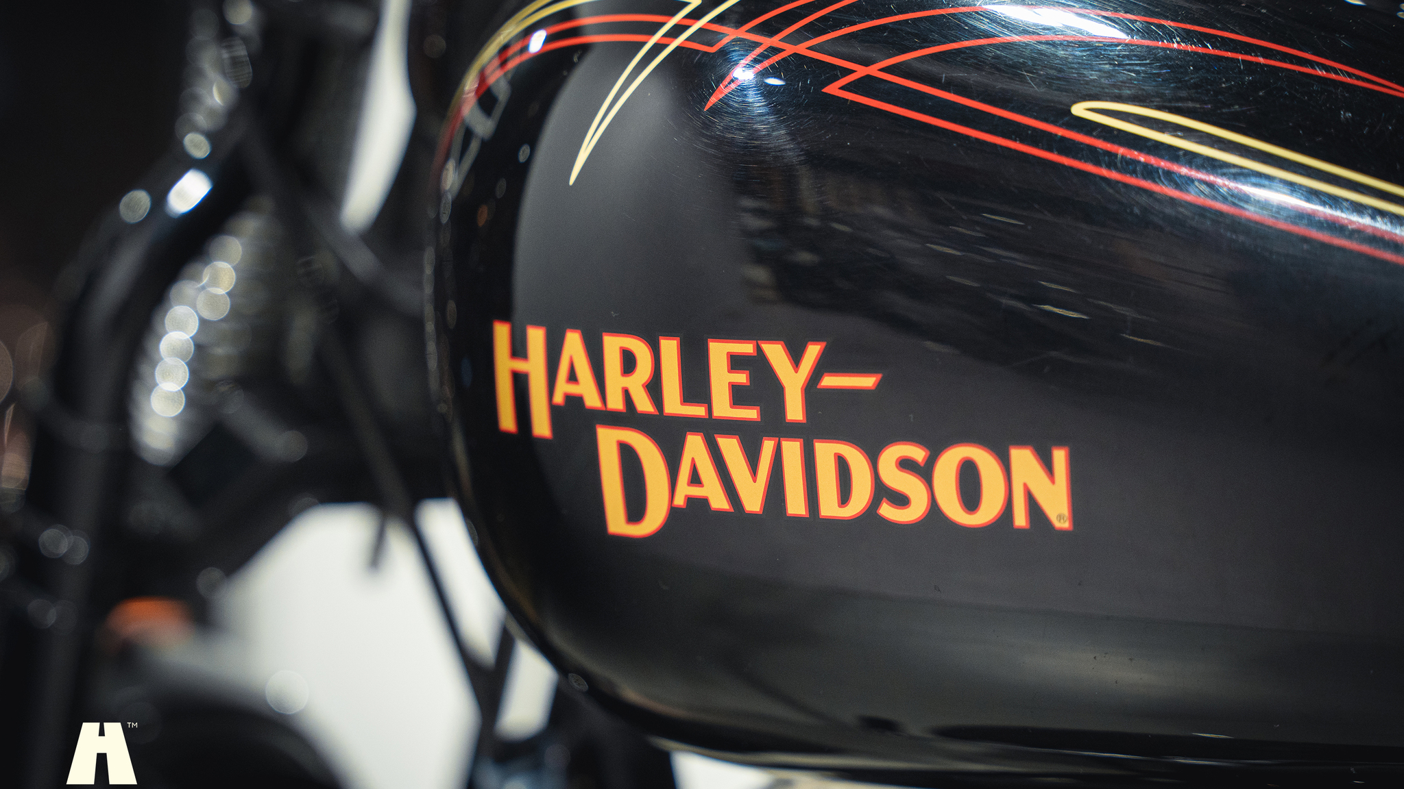 Exteriörbild på 2008 Harley-Davidson Cross Bones Twin Cam (44)