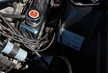 #<Image:0x00007fbbedbc2590>