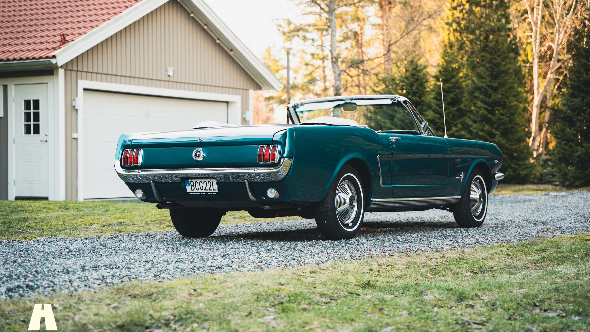 Aussenfoto 1965 Ford Mustang Cabriolet (11)