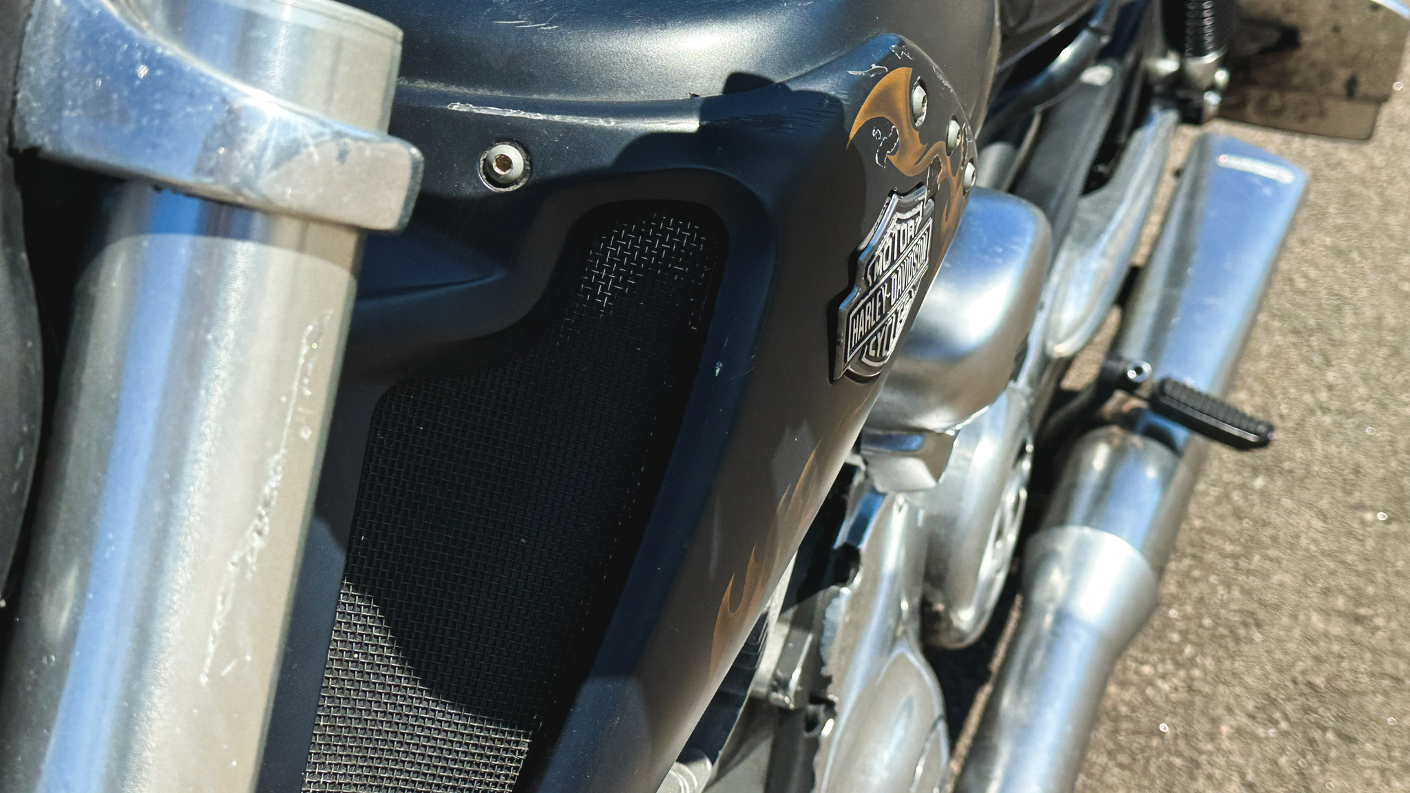 Exterior image of 2010 Harley Davidson Muscle Rod