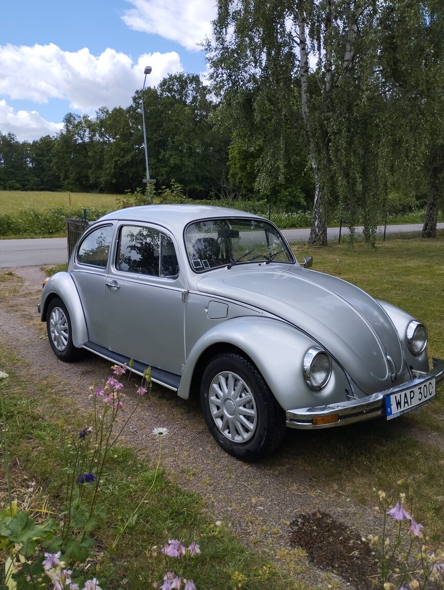 Aussenfoto 1981 1981 VOLKSWAGEN 