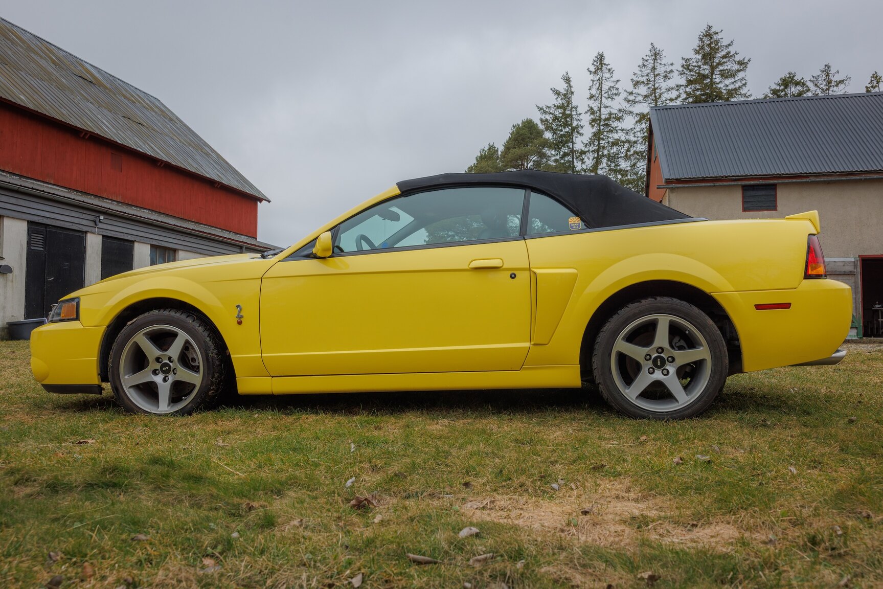 Exterior image of 2003 Ford Mustang SVT Cobra