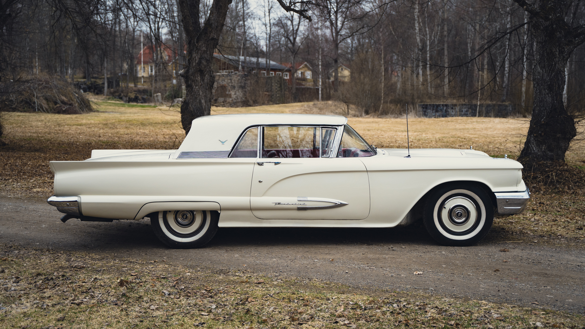 Aussenfoto 1959 Ford Thunderbird hardtop (6)