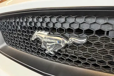 #<Image:0x00007f2fe6e73fc0>