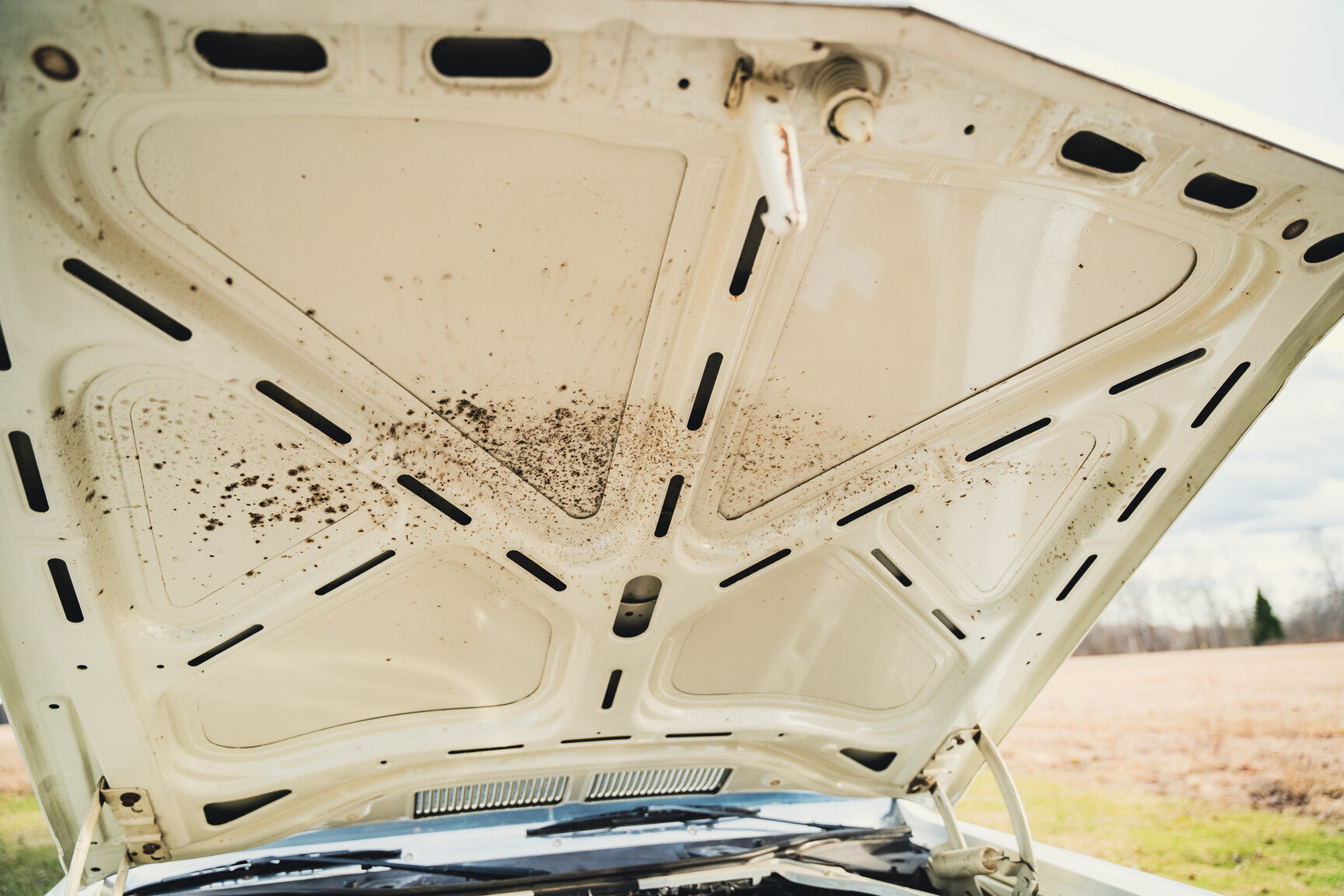 Image of 1973 Opel Diplomat V8 mechanics