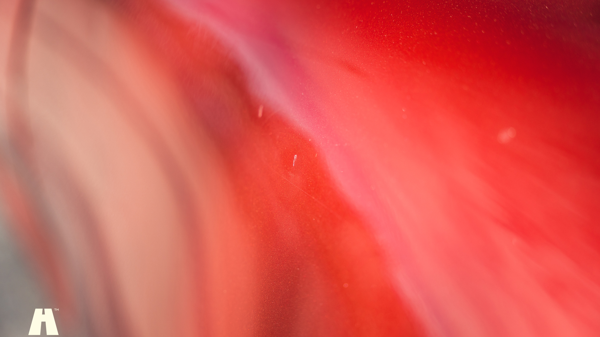 Exterior image of 2000 BMW Z3