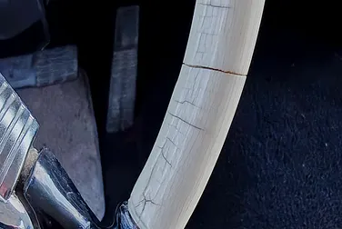 #<Image:0x00007f9205e75290>