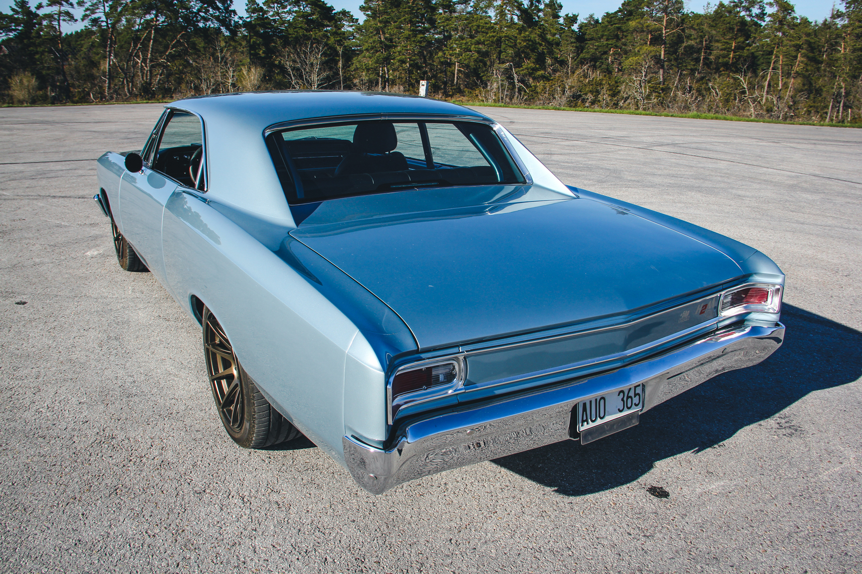 Aussenfoto 1966 Chevrolet Chevelle Malibu Pro Touring (9)