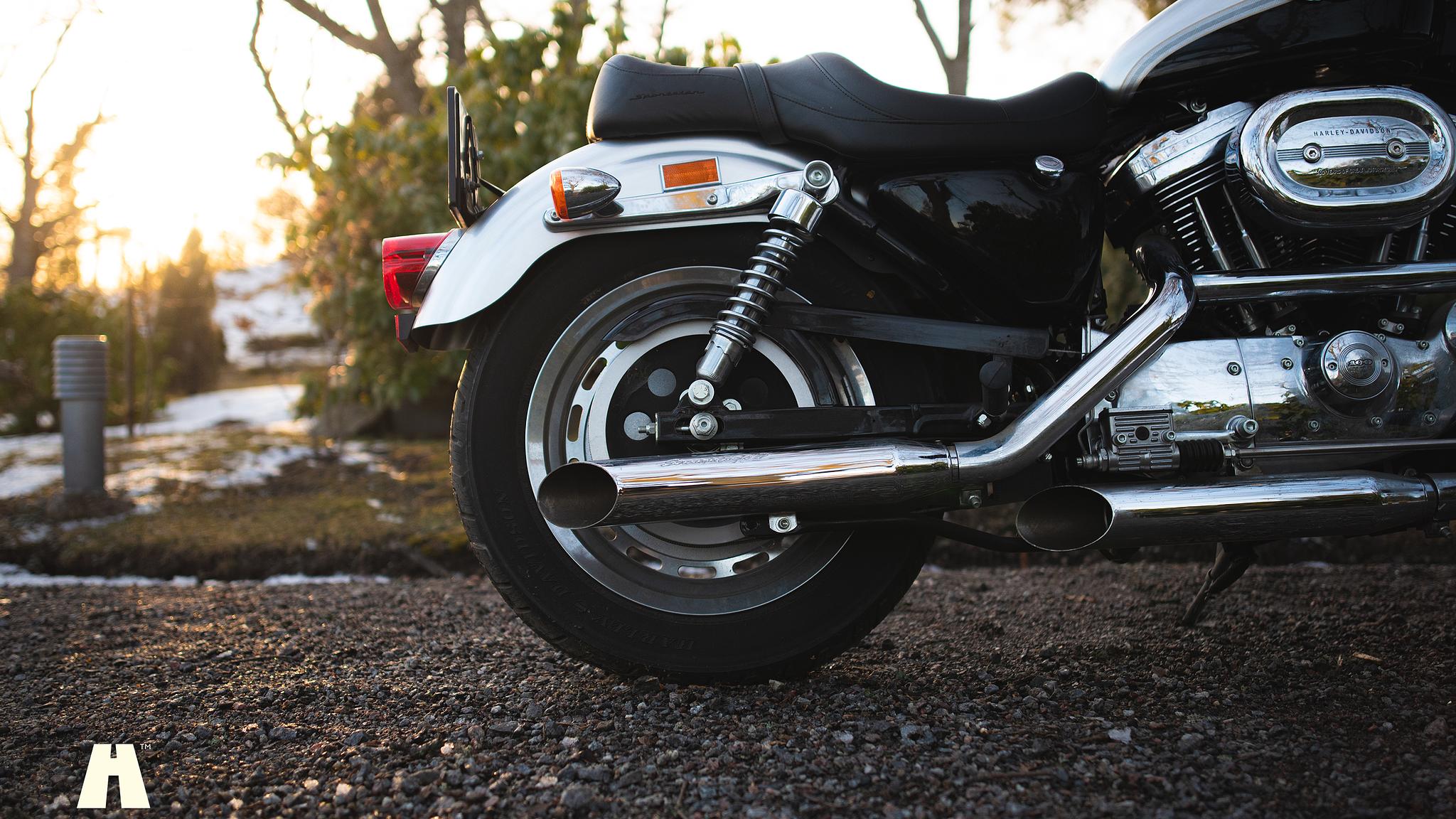 Exterior image of 2003 Harley Davidson Sportster 1200C 100th Anniversary Edition