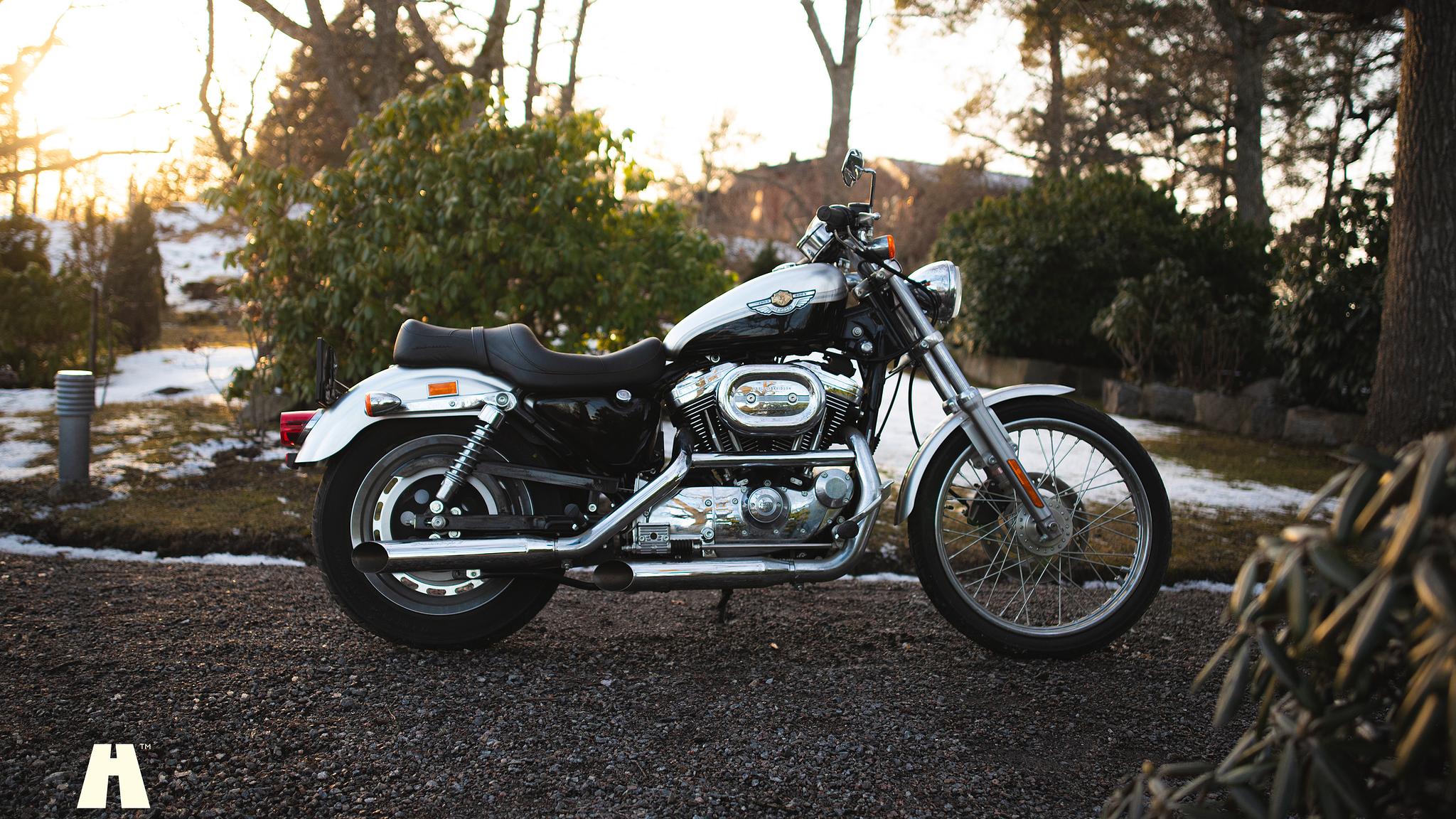 Exterior image of 2003 Harley Davidson Sportster 1200C 100th Anniversary Edition