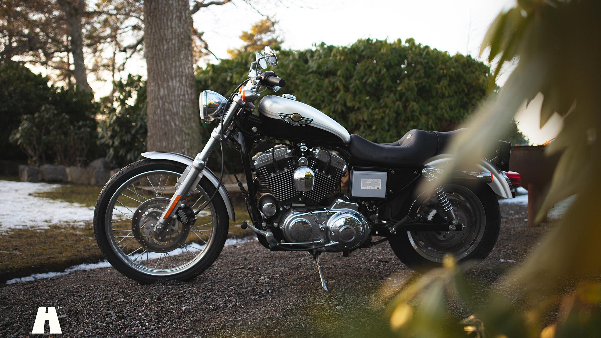 Exterior image of 2003 Harley Davidson Sportster 1200C 100th Anniversary Edition