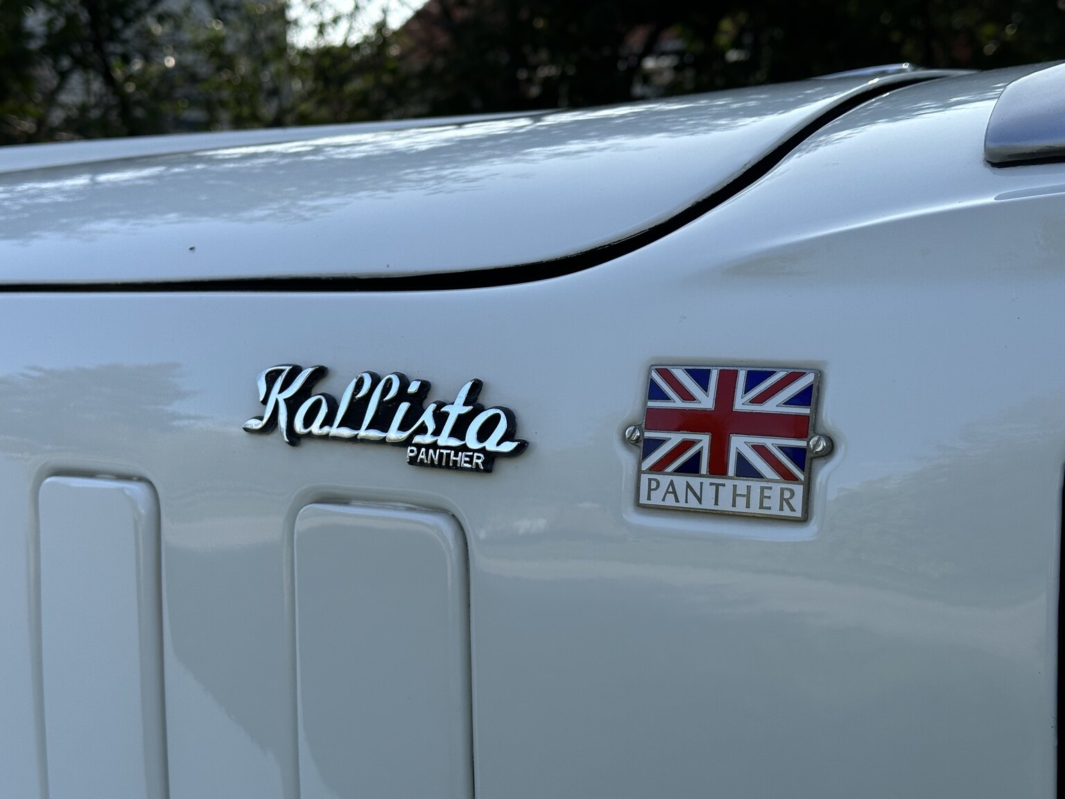 Aussenfoto 1988 Panther Kallista