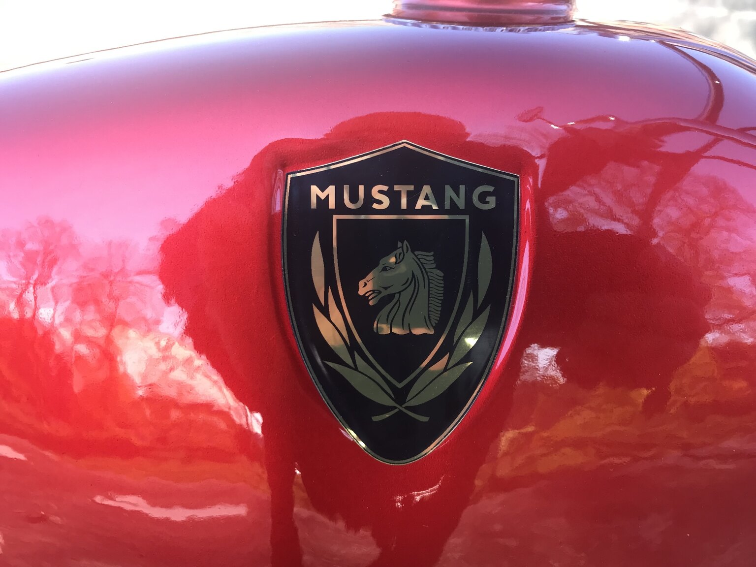 Aussenfoto Mustang Cobra