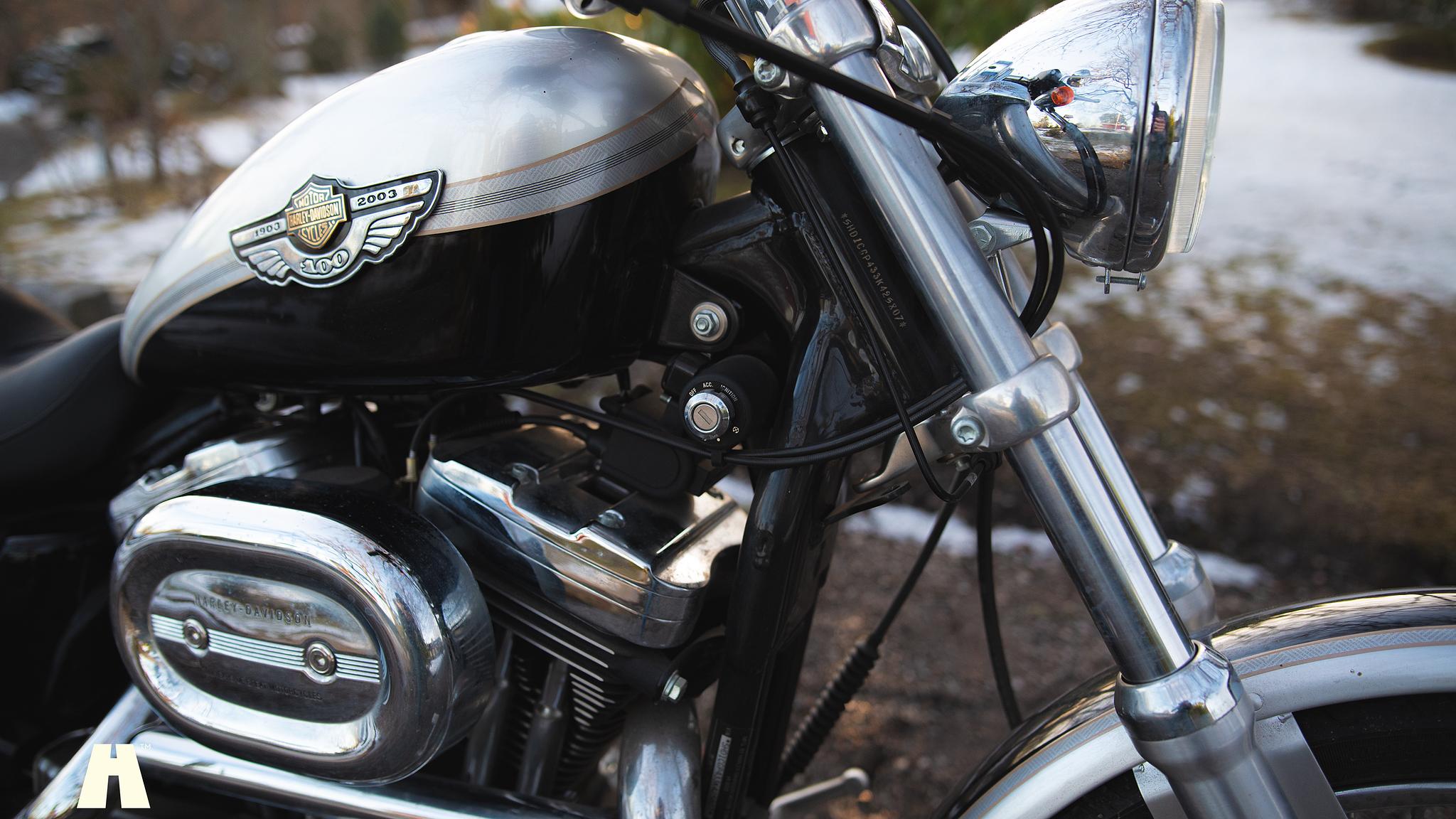 Image of 2003 Harley Davidson Sportster 1200C 100th Anniversary Edition mechanics