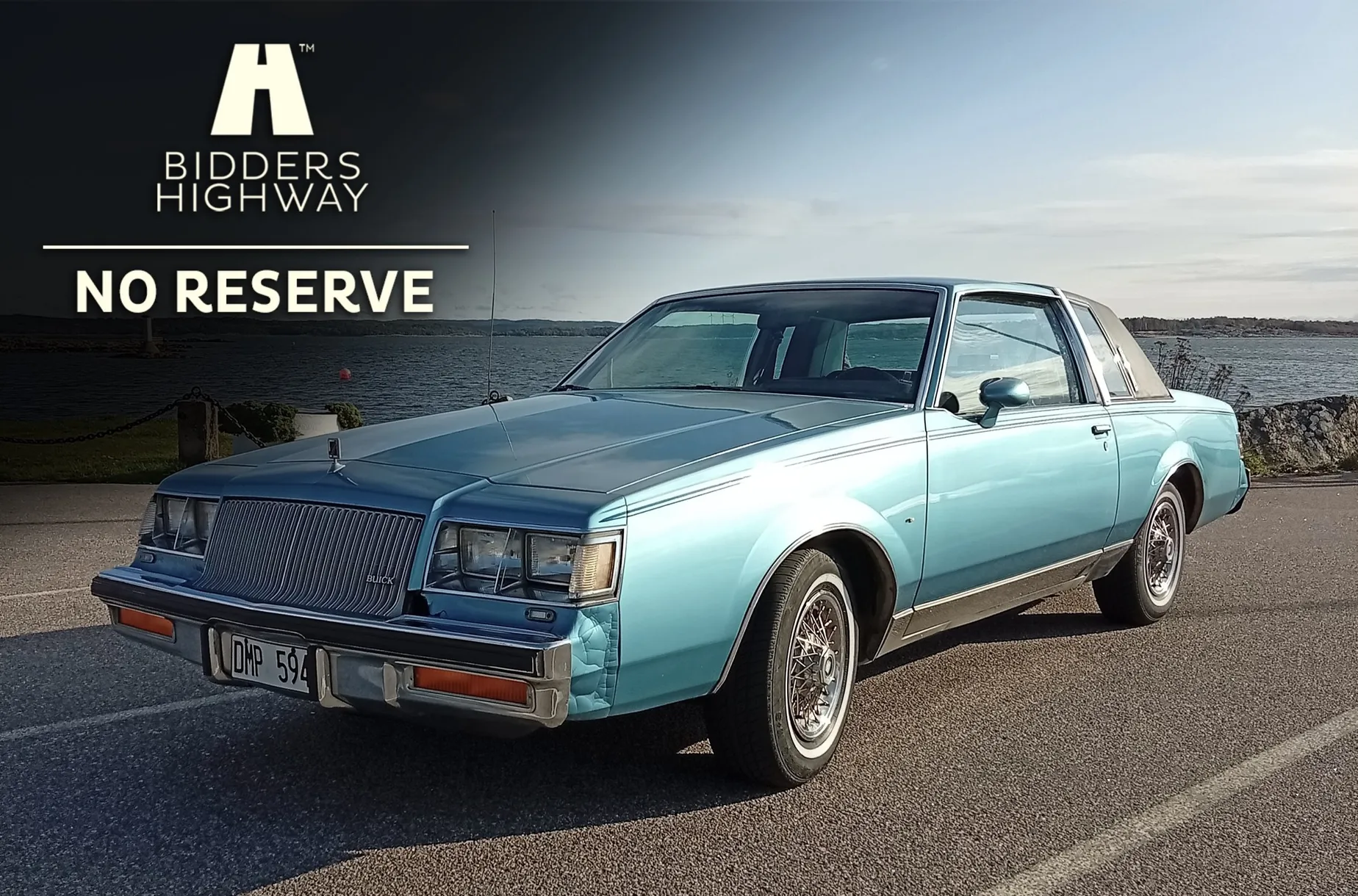 1987 Buick Regal Limited – NO RESERVE