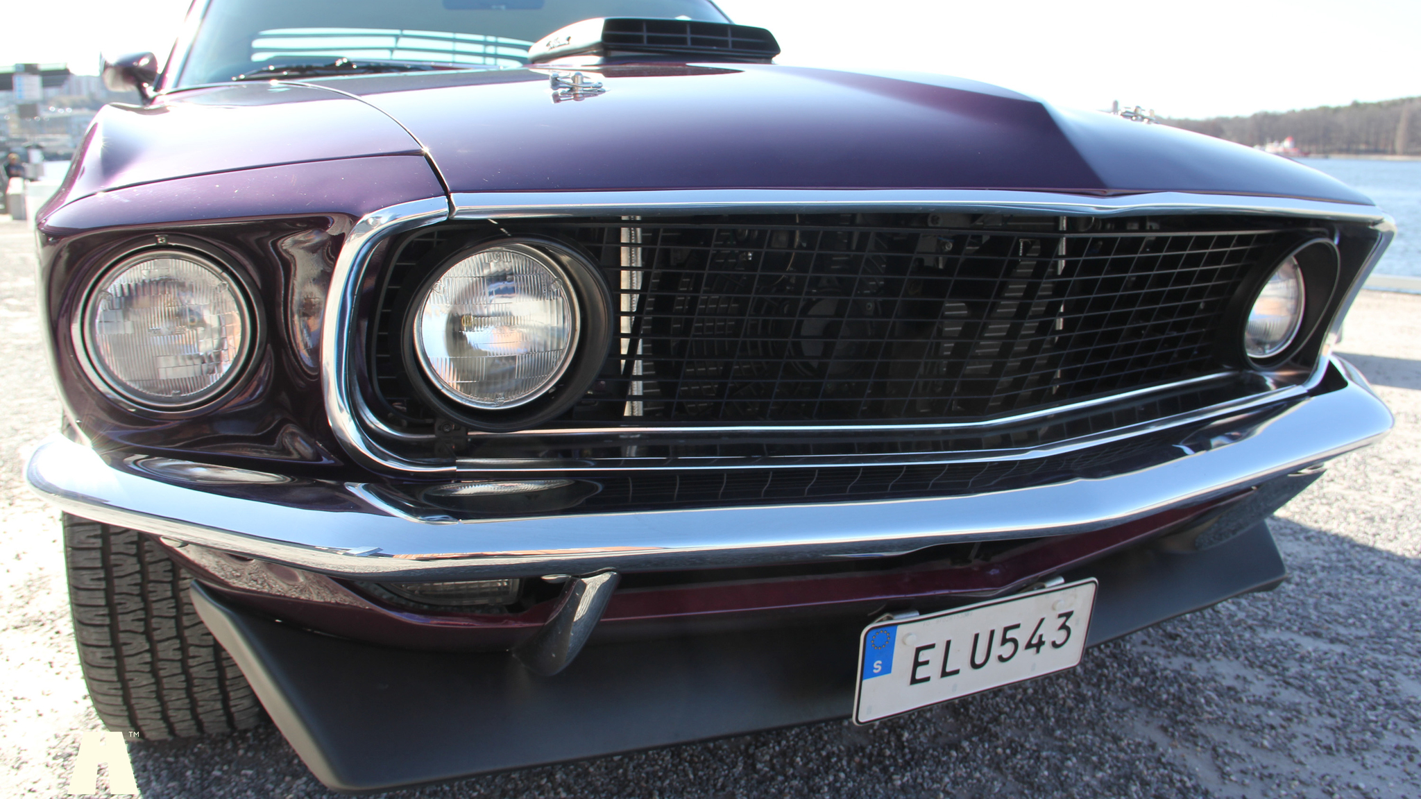 Exterior image of 1969 Ford Mustang Mach 1 (37)