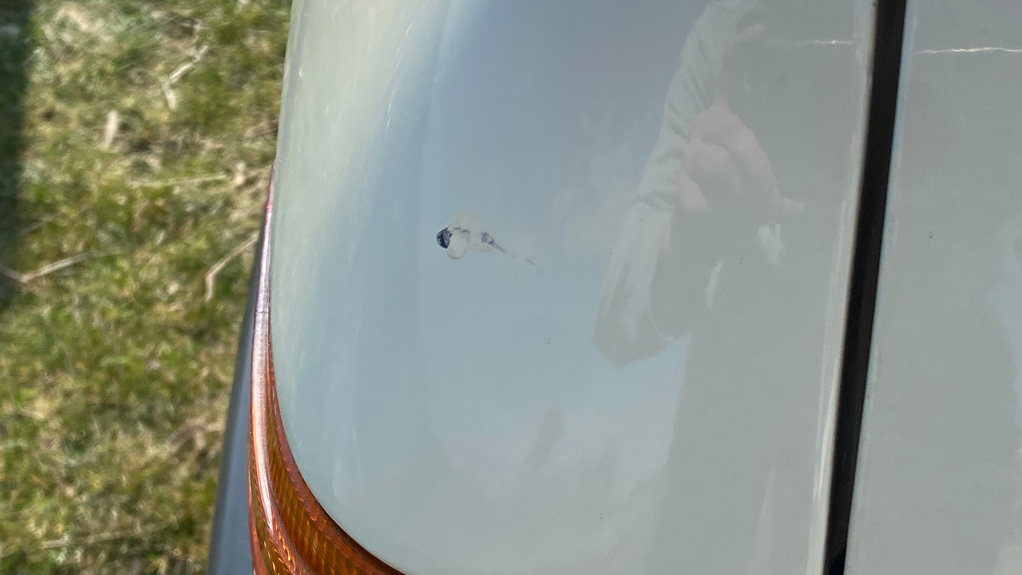 Aussenfoto 1972 Mercedes-Benz 350 SL (77)