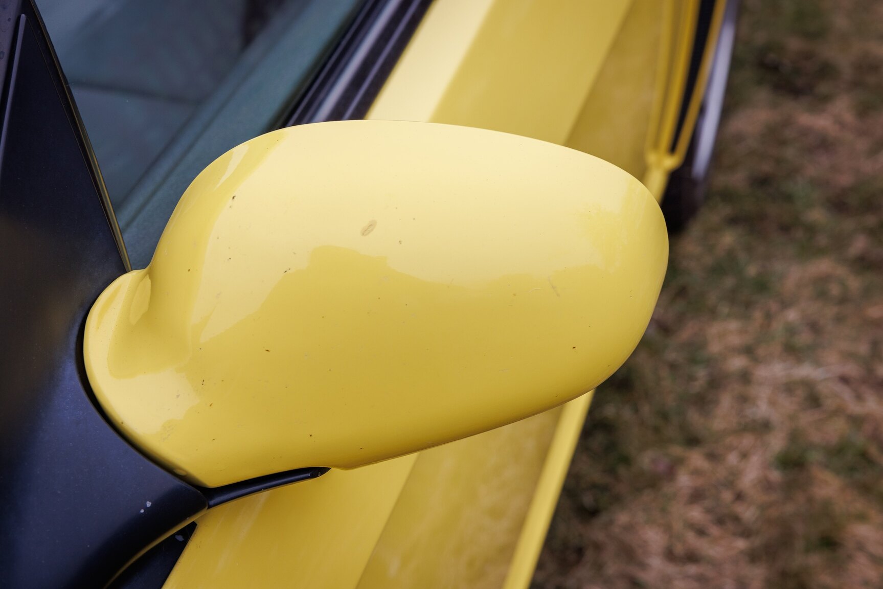 Exteriörbild på 2003 Ford Mustang SVT Cobra