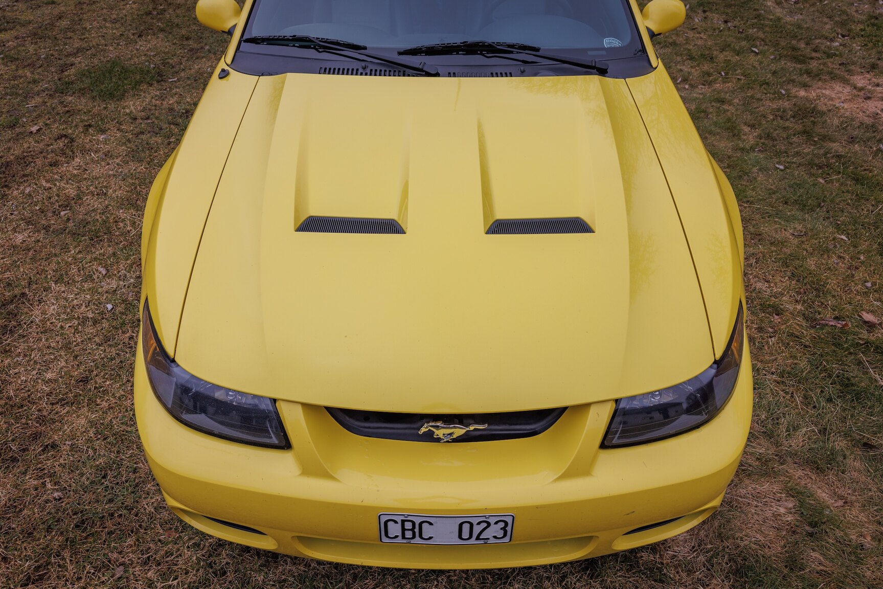 Exterior image of 2003 Ford Mustang SVT Cobra