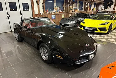 #<Image:0x00007f907a45dc08>