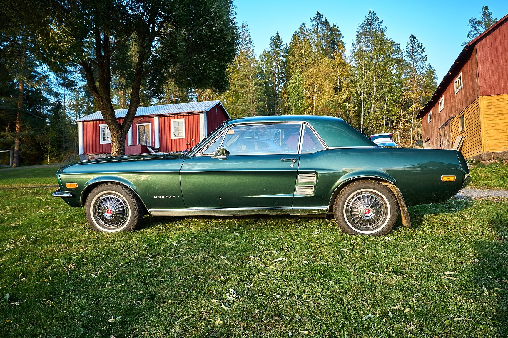 Aussenfoto 1967 Ford Mustang Hardtop
