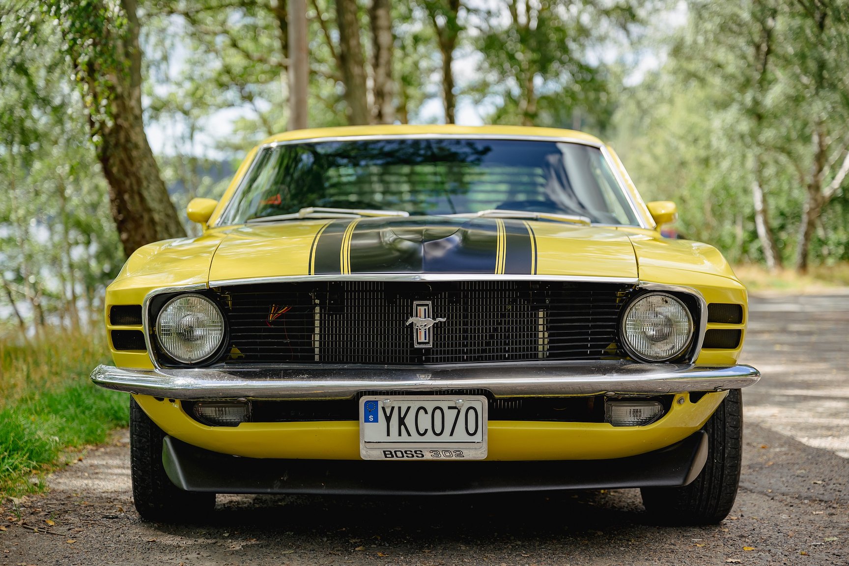 Exterior image of 1970 Ford Mustang Boss 302