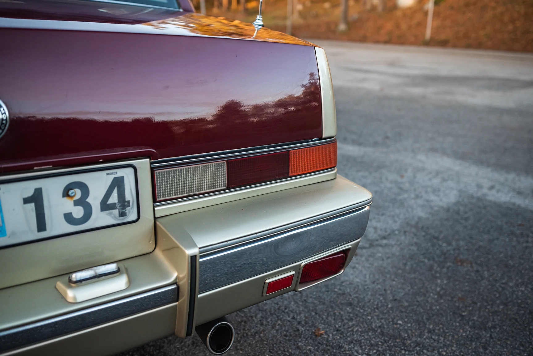 Exterior image of 1989 Cadillac Seville (28)