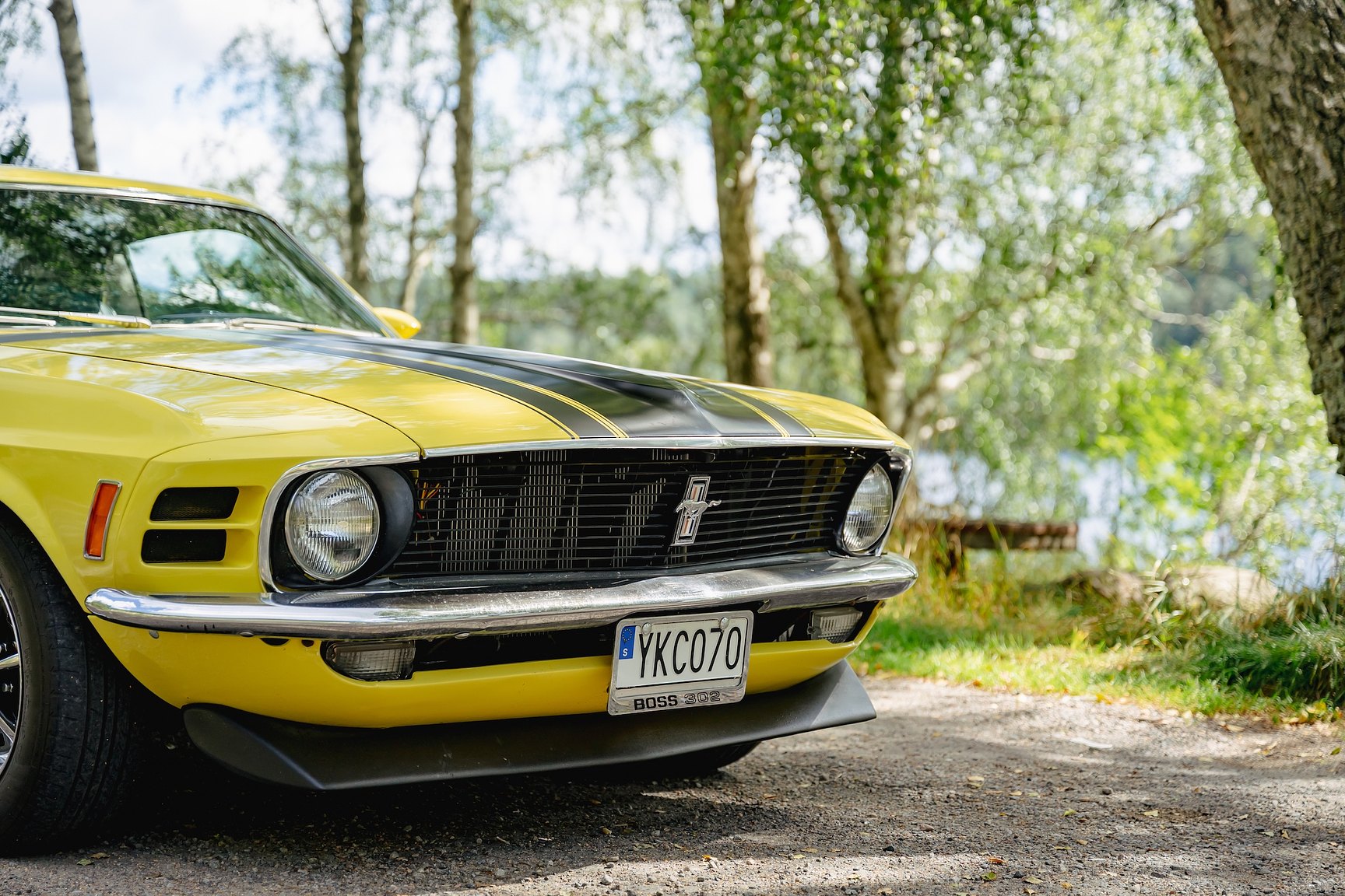 Exterior image of 1970 Ford Mustang Boss 302